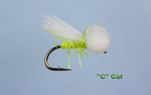 'C' Cat Booby